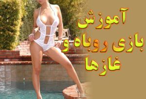 آموزش بازی روباه و غازها یک بازی شسته و رفته STEAM