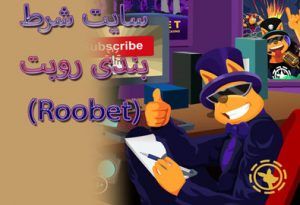 سایت شرط بندی روبت (Roobet) پشتیبانی ۲۴ ساعته و امکانات vip